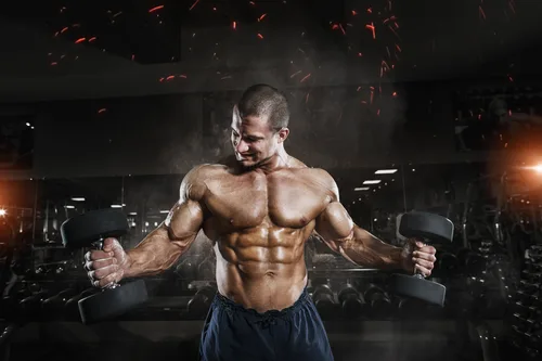 Sustanon 250 Cycle for Muscle Mass 2025