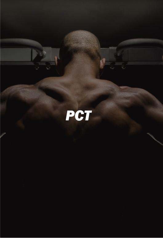PCT Steroid Stack